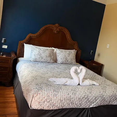 Hotel Royal Blue & Golf Cart Rental-2